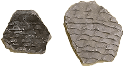 Cibola (corrugated) Gray Ware