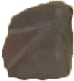 Sherd