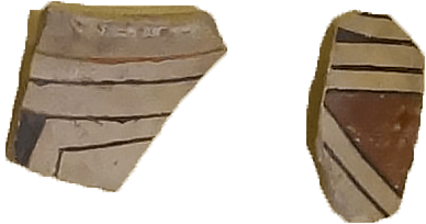 Sherd