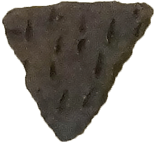 Alma Punctate