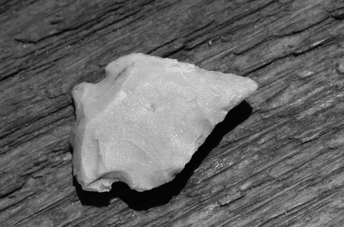 Projectile Point Sequence